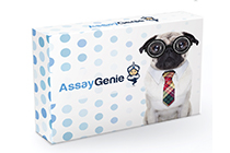 Vuelta a la poyata con Assay Genie: 10% de descuento en kits ELISA y Assays