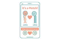 🧬 Tinder molecular: cmo los miRNAs encuentran su pareja (y lo que significa para tu investigacin)