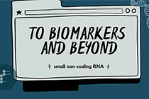 small non-coding RNA: el catlogo completo