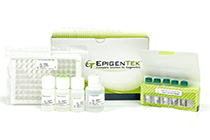 Bundles Epigen�ticos - Analiza m�s y paga menos