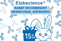 -15% de anticuerpos recombinantes generados en conejo